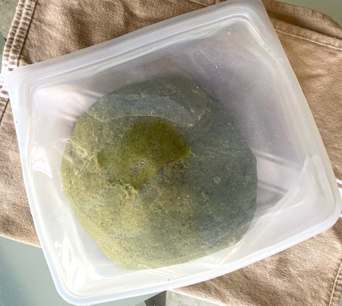 Our dough resting in a silicone bag.