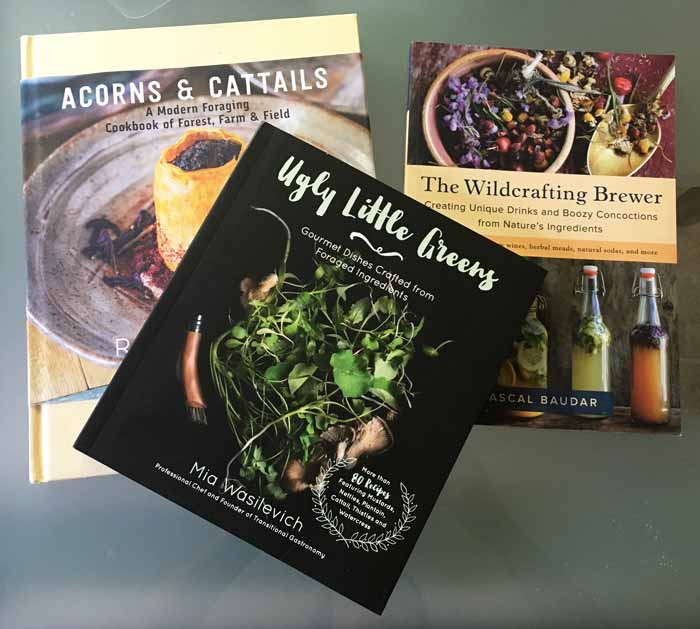 Good recipe and foraging books if you want to make