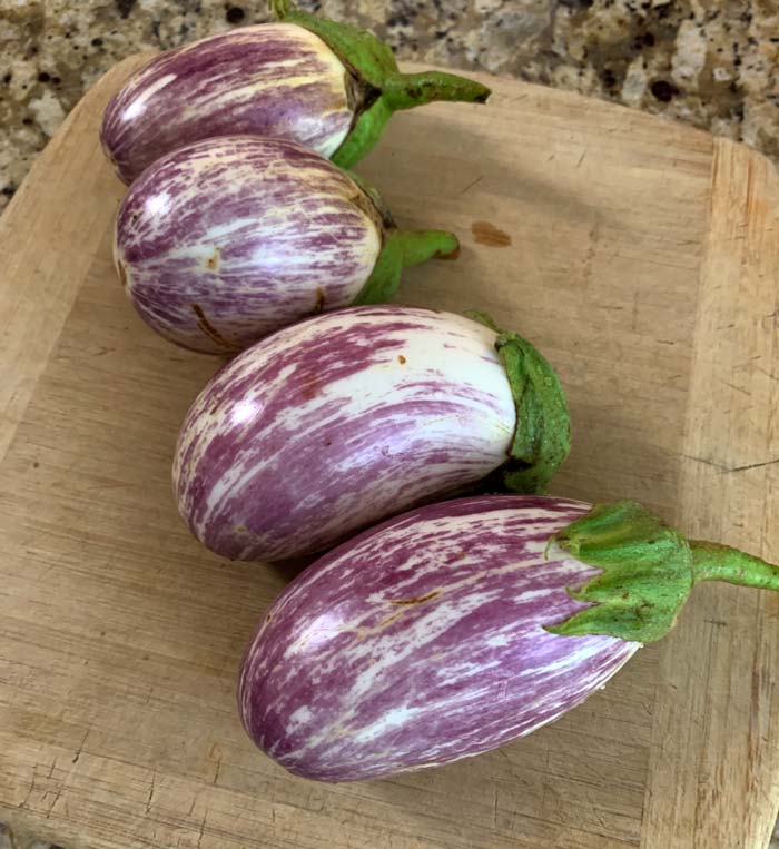 We used 'Shooting Stars' eggplants for this recipe but any cultivar of eggplant will do.