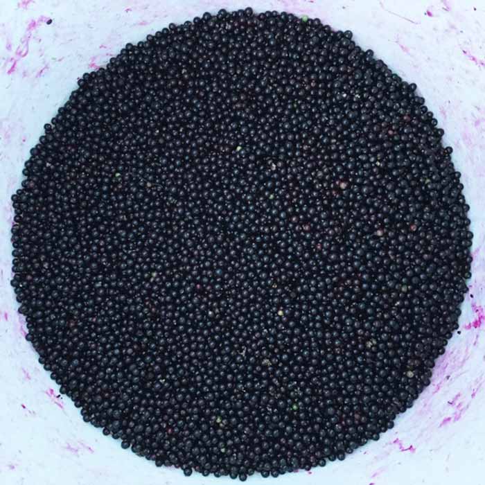 Processed elderberries using the