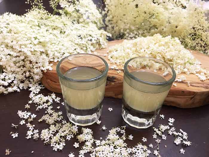 Tyrant Farms' fermented elderflower cordial is our favorite use of elderflowers. Get our recipe here! Growing elderflower trees