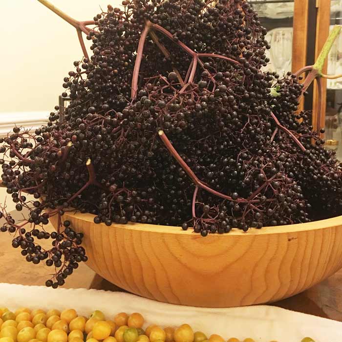 Growing elderberry trees from seeds means you'll need to wait an additional year to get this...