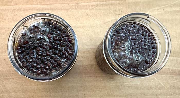 Day 1: As the honey settles over and into the elderberries below, air is forced out and bubbles form. This is not due to fermentation!