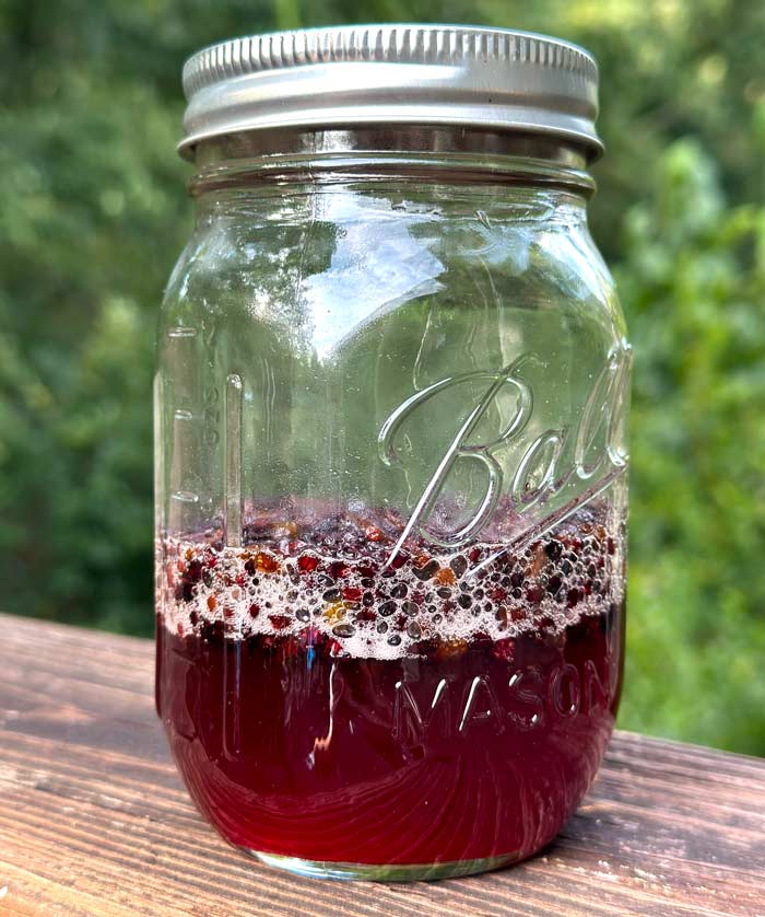 A very active honey elderberry ferment during the fourth week.