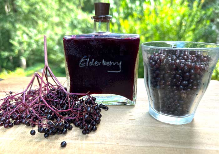 Elderberry syrup is something we use throughout the year in everything from elderberry popsicles to homemade elderberry soda.