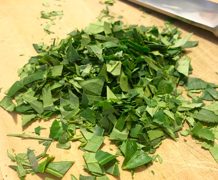 In our fermented tea experiments, we tested both dried pulverized Tea Camellia leaves and fresh, chopped leaves.