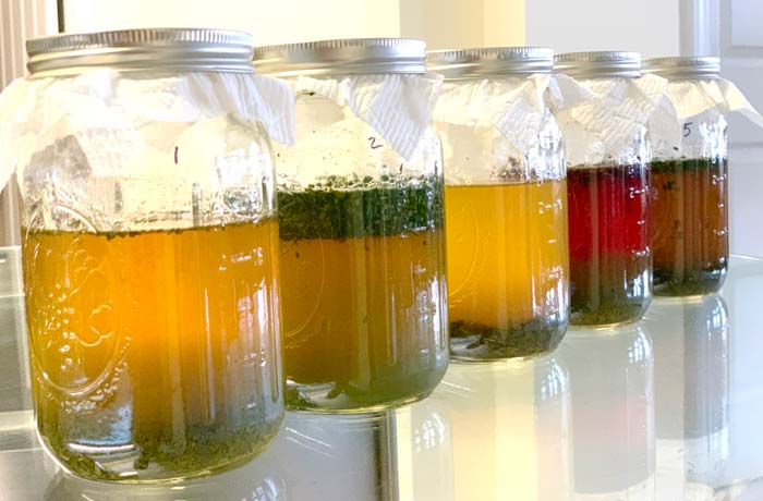 Day 2 and no signs of fermentation yet. Be patient!