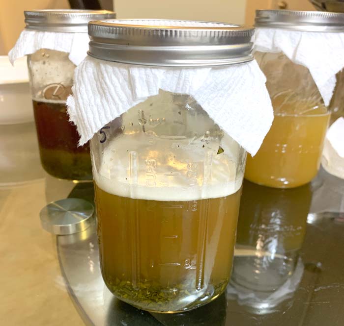 The overall winner? Fermented Yaupon holly tea. In addition to offering the best flavor, the yaupon tea also had far more effervescence/bubbles as you can see here.