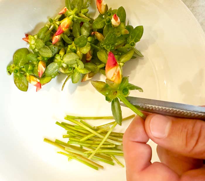 Process purslane by separating the leaf sections from the stems. 