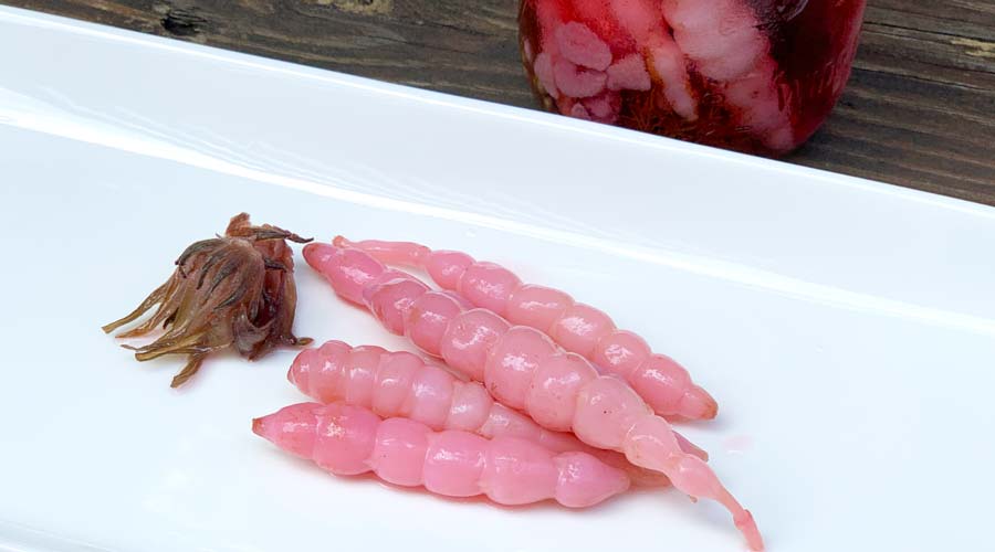 Recipe: Florida betony and hibiscus pickles thumbnail