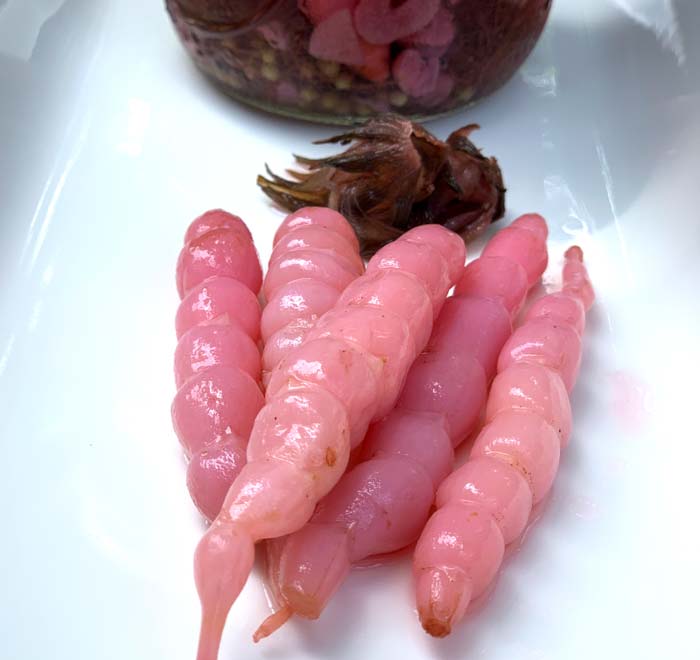 Florida betony-roselle pickle recipe