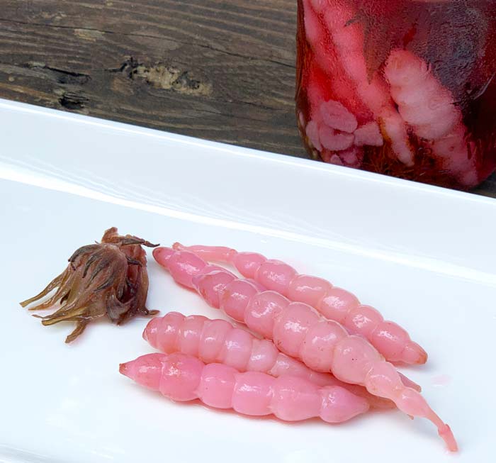Florida betony-roselle pickles: a beautiful and unusual treat!