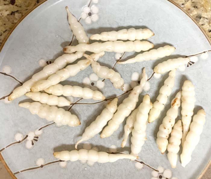 Florida betony tubers.