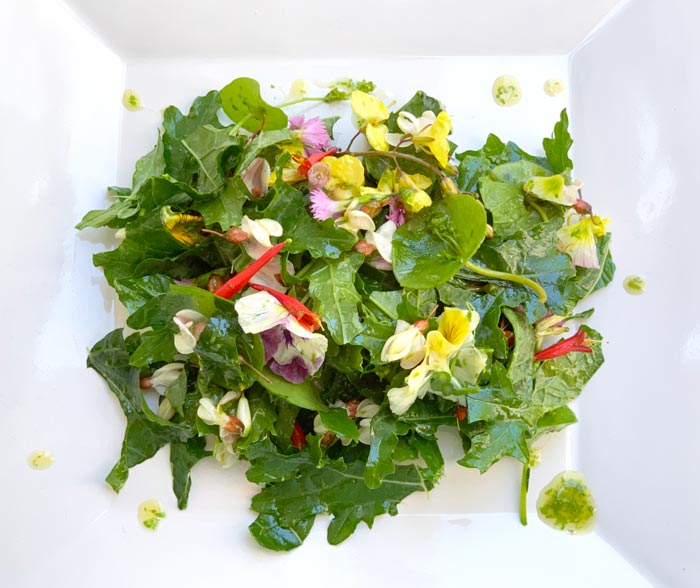 White Russian kale and a mix of edible spring flowers tossed with Eastern hemlock tree bud-honey dressing. Quite a flavor combination!