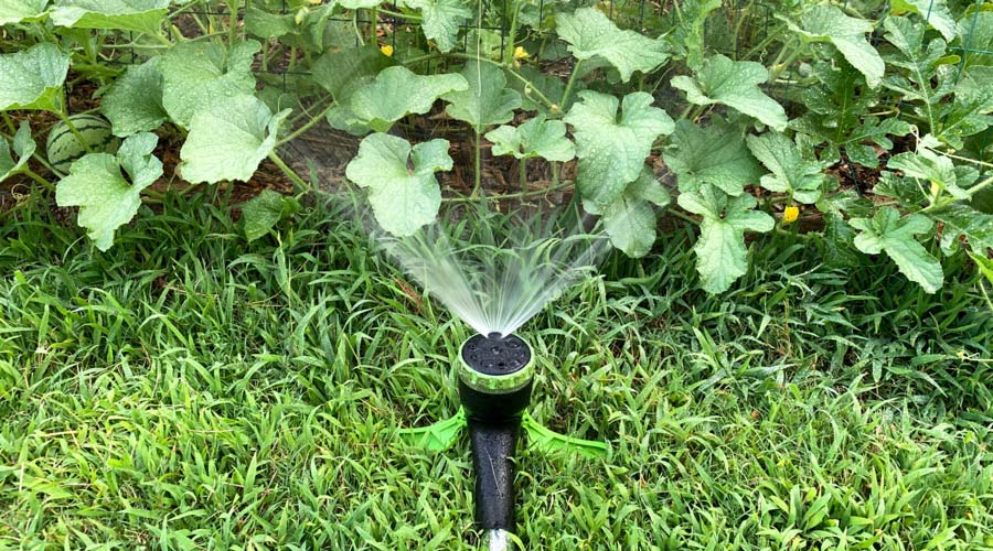 The Best Garden Sprayer Sprinkler Combo We Ve Ever Used Tyrant Farms