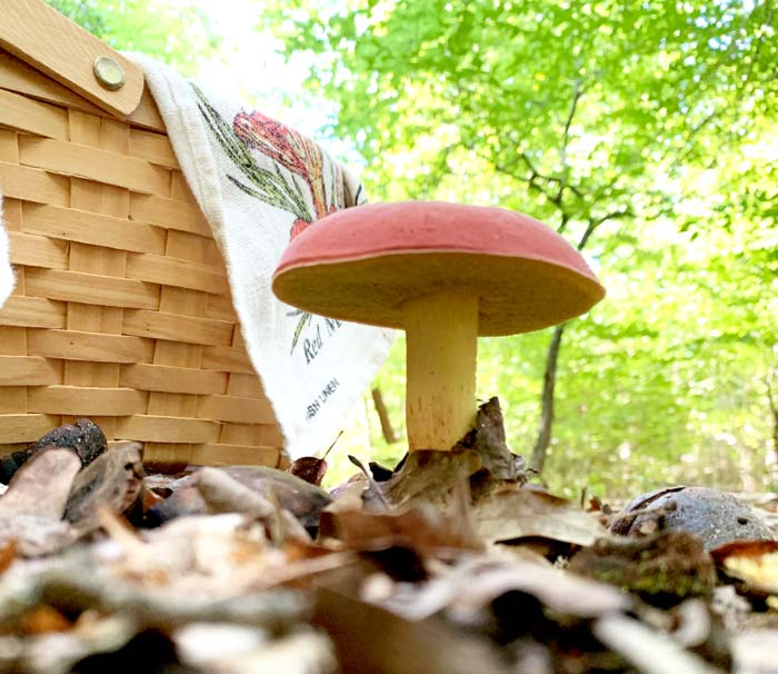 The gift ideas in our foraging & wildcrafting gift guide won't help your gift recipient find bicolor bolete mushrooms, but it will help them identify, harvest, and cook them!