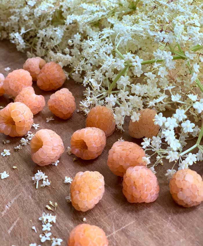 Hmm. What can you do with golden raspberries and elderflowers? 