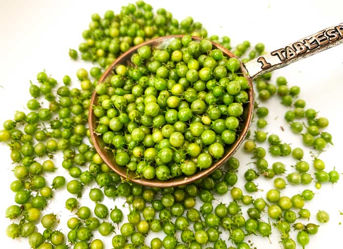 Green coriander is a powerful flavor, so a little goes a long way in a dish.