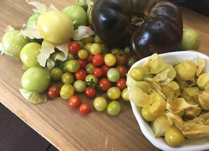 Tomatoes, peppers, and eggplants are the most common nightshades in a summer garden, but consider making room for tomatillos, ground cherries, and other Physalis nightshades as well.