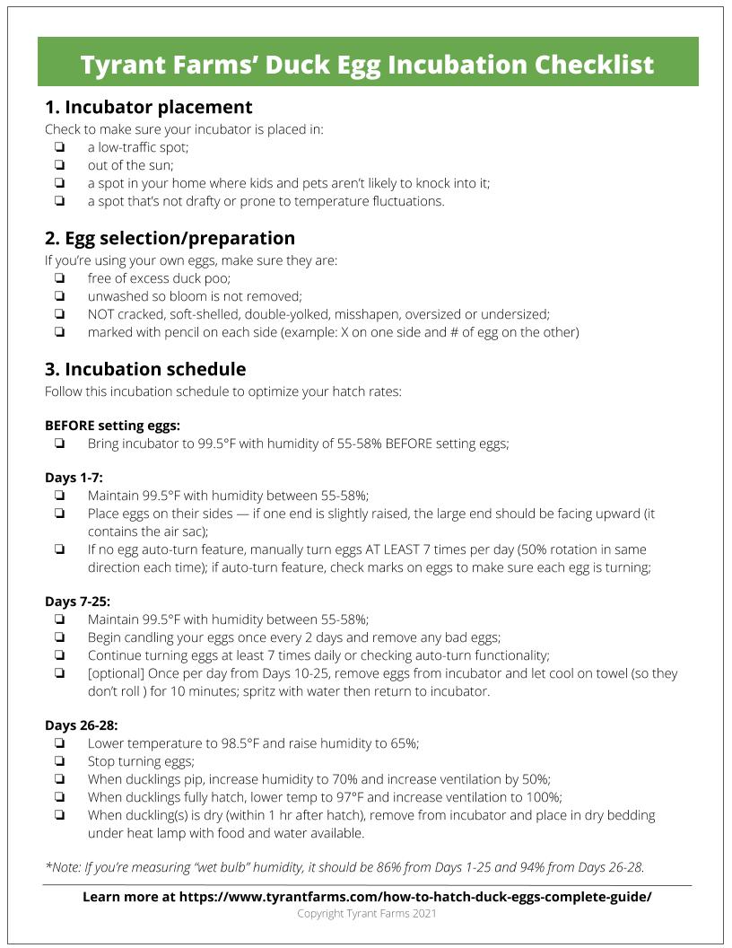 Tyrant Farms' printable duck egg incubation checklist. 