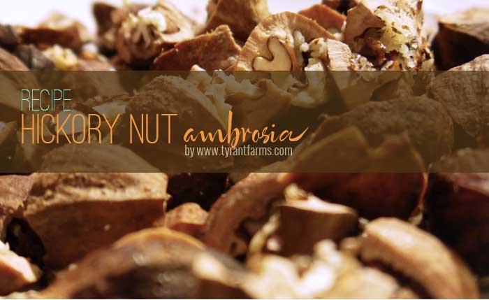 Hickory nut recipe: hickory nut ambrosia by Tyrant Farms 