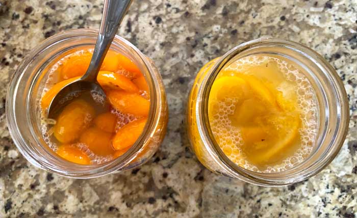 Note the bubbles, which are created by respiring beneficial microbes, likely in the lactic-acid bacteria (LAB) order possibly combined with native yeasts residing on the fruit skin and/or honey. These are the same types of organisms used to make other ferments like wine, beer, and mead. The bubbles also provide a wonderful effervescent effect on the mouth and tongue when you eat or drink honey-fermented kumquats.
