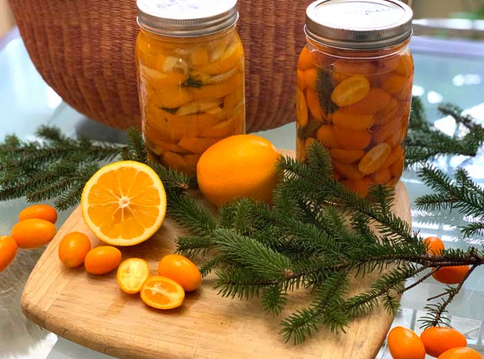 Ingredients in our first honey-fermented citrus experiment included Meyer lemons, kumquats, and spruce tree needles.