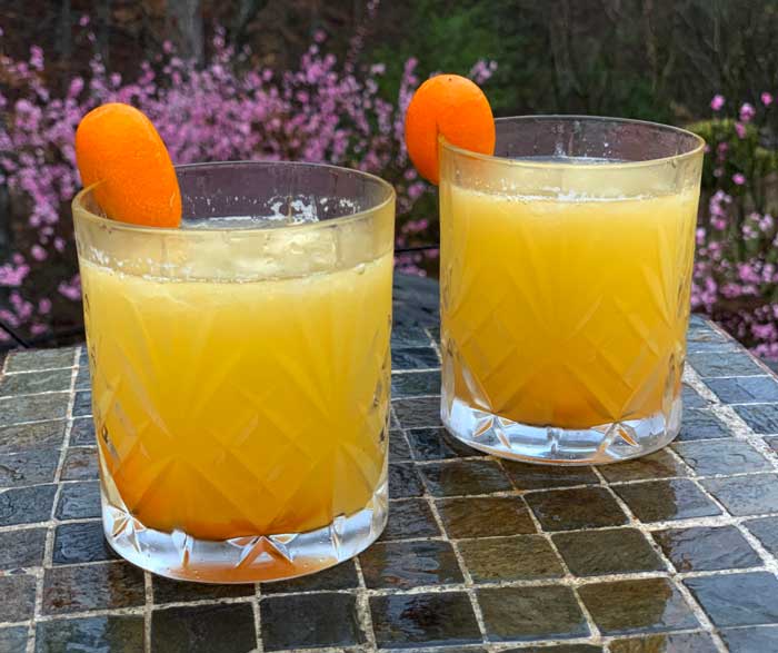 The Tyrant's honey-fermented kumquat & Meyer lemon zinger.