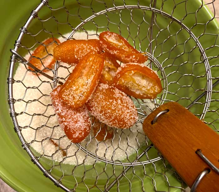 A not-so-good experiment: fermented kumquat candy. We dehydrated a few of the fermented kumquats to tackiness, rolled them in sugar, then dehydrated them until dried. The flavor was excellent, but the texture was too leathery.