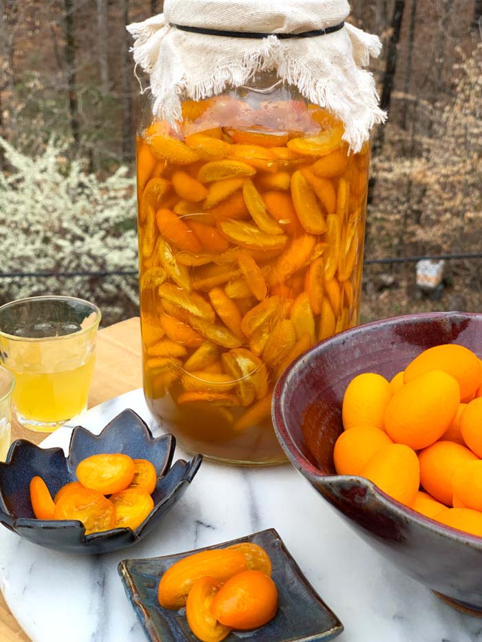 Honey-fermented kumquats, the perfect recipe to use up lots of kumquats! (Beehive in background center right is where our honey came from.)