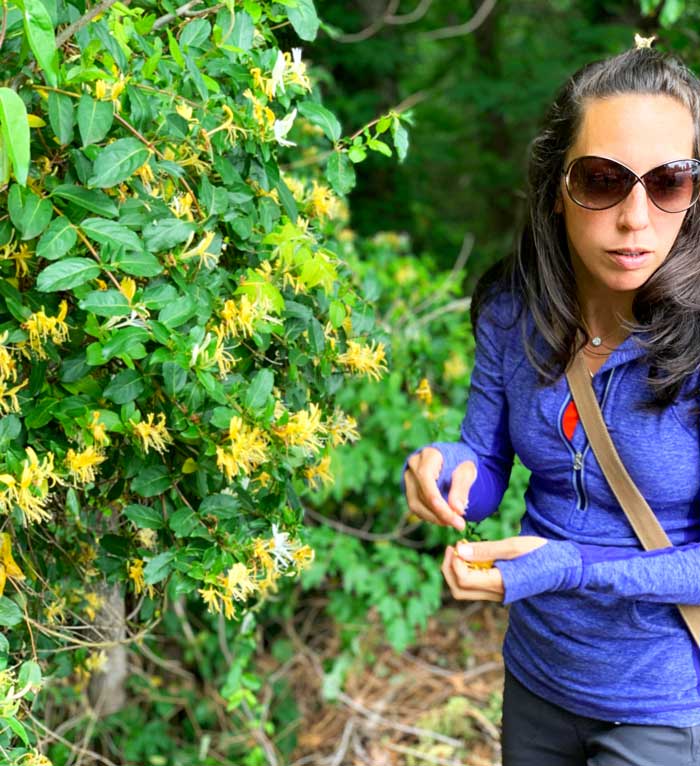 The Tyrant, honeysuckle ice cream recipe co-creator.