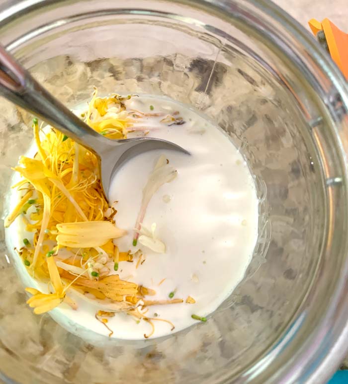 Stirring honeysuckle flowers into a cream-milk mixture to infuse the dairy with honeysuckle flavor. Let it sit in the fridge for about 18 hours then strain. Once sweetened, you'll be amazed by the flavor!