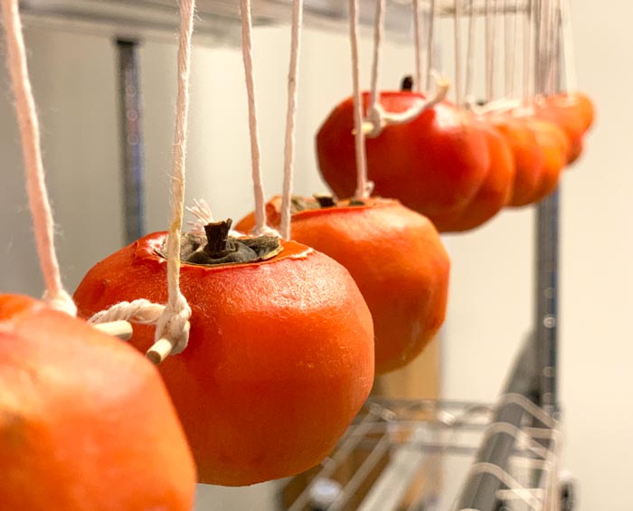 Day 2 - The surface of the persimmons is dry enough to start giving them a gentle massage.