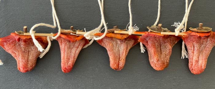 Finished hoshigaki made with the skewer method! This method yields a finished fruit that has more of a scarecrow or bird-in-flight shape.