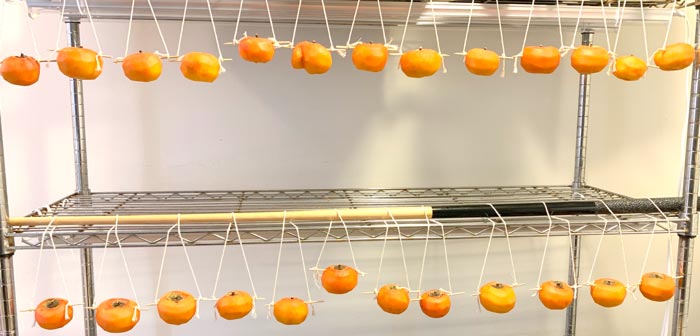 Empty grow light shelves and some pool sticks make a good improvised hoshigaki system!