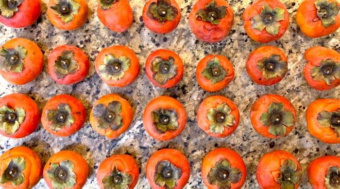 Have a lot of firm but ripe Asian persimmons? Hoshigaki is a great way to use and preserve them.