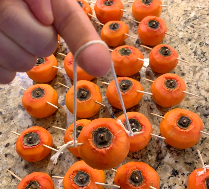 Asian persimmon prepped and ready to hang to make hoshigaki.