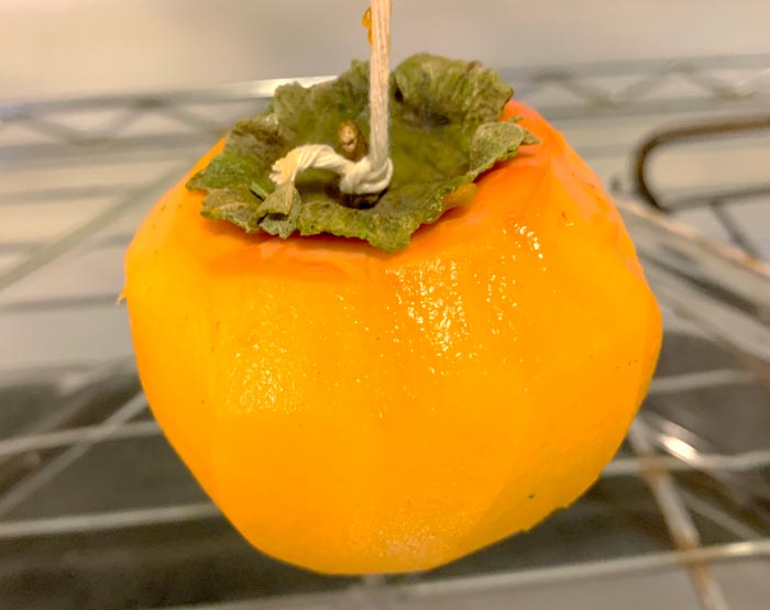 Also note that you don't necessarily need a large stem attachment on your persimmon to hang it if you can tie a decent knot.