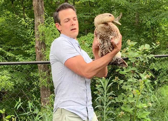 Notice the hand placement on Marigold the Duck's wings here. My thumbs and hands are holding her wings firmly in place to prevent her from flapping while my other fingers wrap around underneath her for stabilization. This is the hand grip we use when picking up or putting down a duck.
