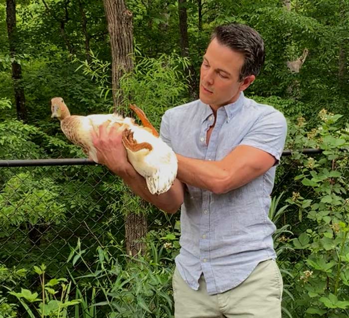 Doing a quick one-person bumblefoot inspection on Marigold the Duck.