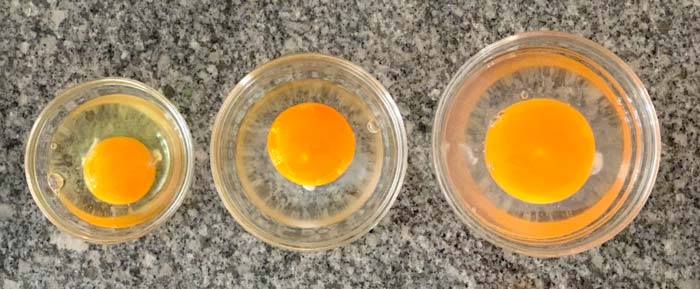 Egg yolk size from left to right: chicken vs. duck vs. goose. 
