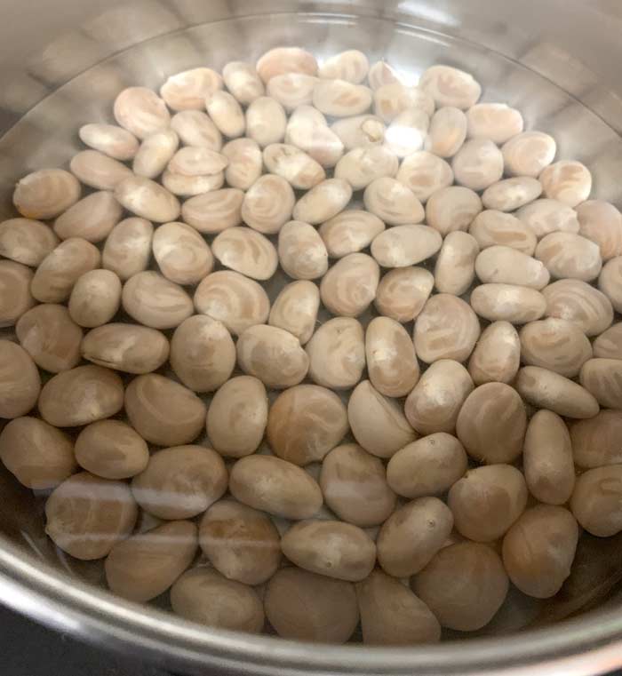 2in1 recipe Jackfruit seed humus and jackfruit salsa Tyrant Farms