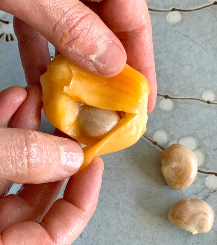 Large jackfruit seed inside jackfruit fruit. 
