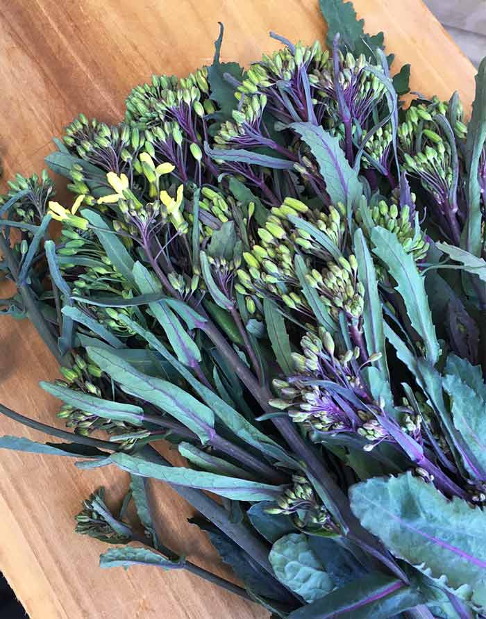 Hello beautiful! Garden-fresh kale and kohlrabi florets on the cutting board in our kitchen.