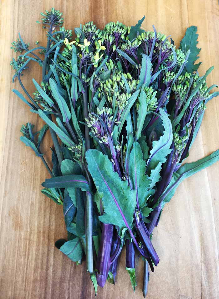 Brassica florets: colorful, beautiful, flavorful, and packed full of nutrition. What's not to love?