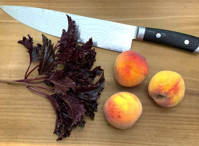 'Opalescent' basil, peaches, and honey made a wonderful lacto-fermented flavor combination. Fun fact: Shun knives make every kitchen picture look better!