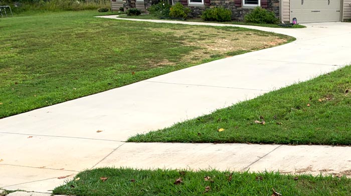Soil compaction from car parked in lawn.
