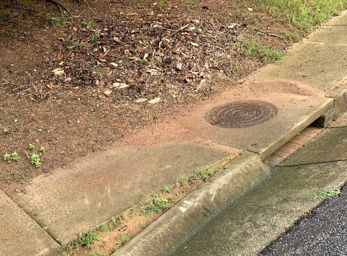 Bare soil plus steep hill equals soil erosion. Soil and debris from this yard runs right into this storm drain each time there's a heavy rain, creating pollution in the adjacent creek.