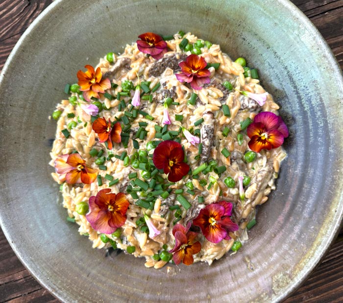 Morel mushroom orzo. 