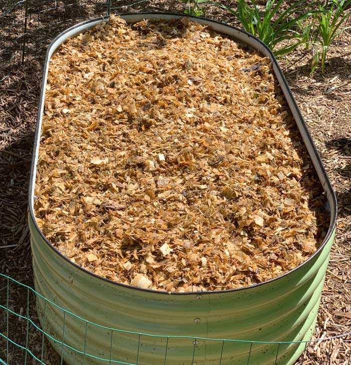 1-2" layer of old duck bedding is the first layer of mulch during this season transition. 